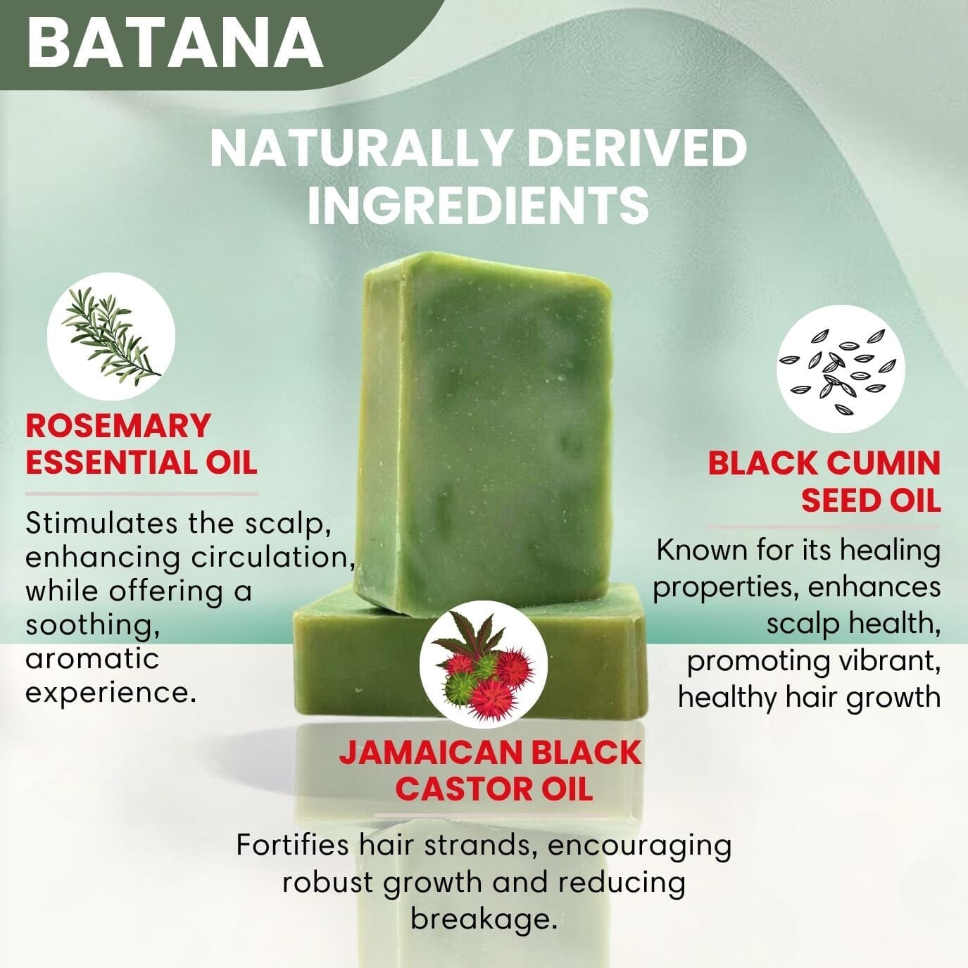 Shampoo Bar for Waves, Curls & Coarse Hair Wave Natural Products 2-6 King Wavy Merch Batana 