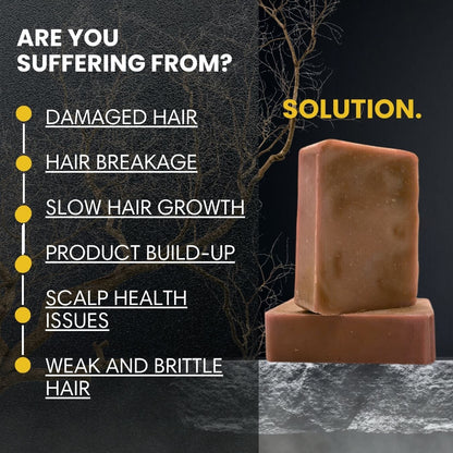 🔥PRE ORDER🔥 Cookie Paradise Shampoo Bar Wave Natural Products 2-6 King Wavy Merch 