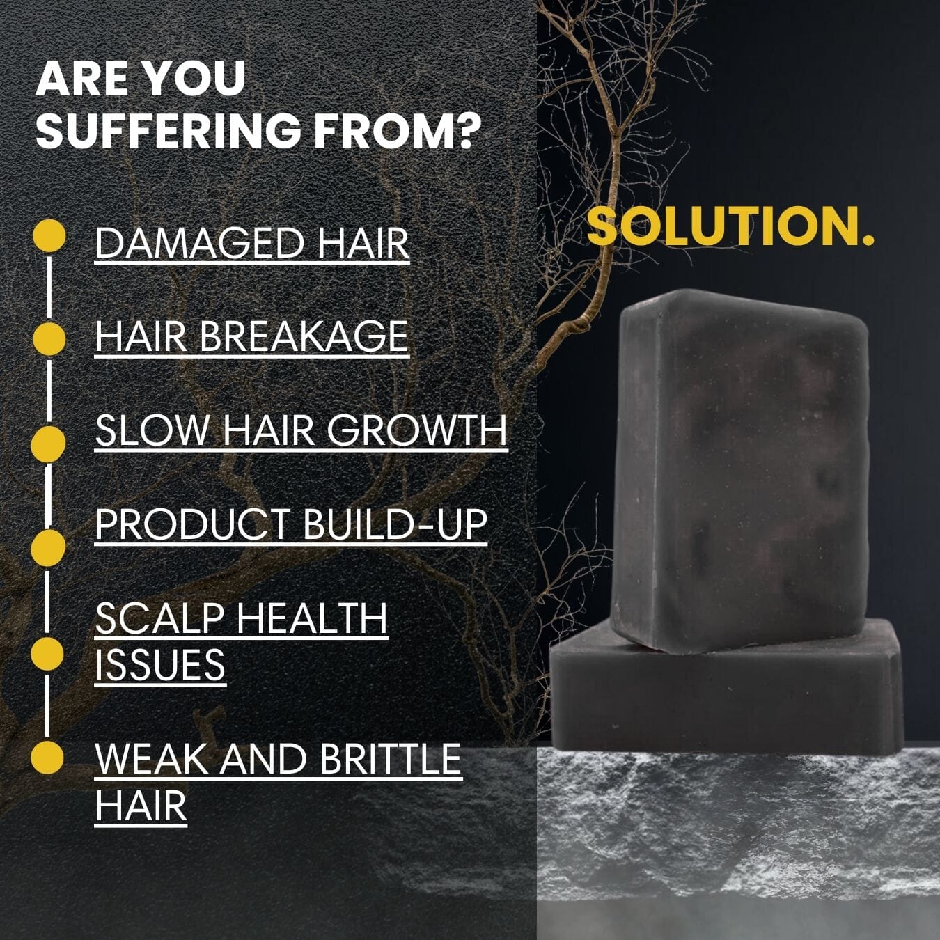 🔥PRE ORDER🔥 Premium Luxury Shampoo Bar Wave Natural Products 2-6 King Wavy Merch 