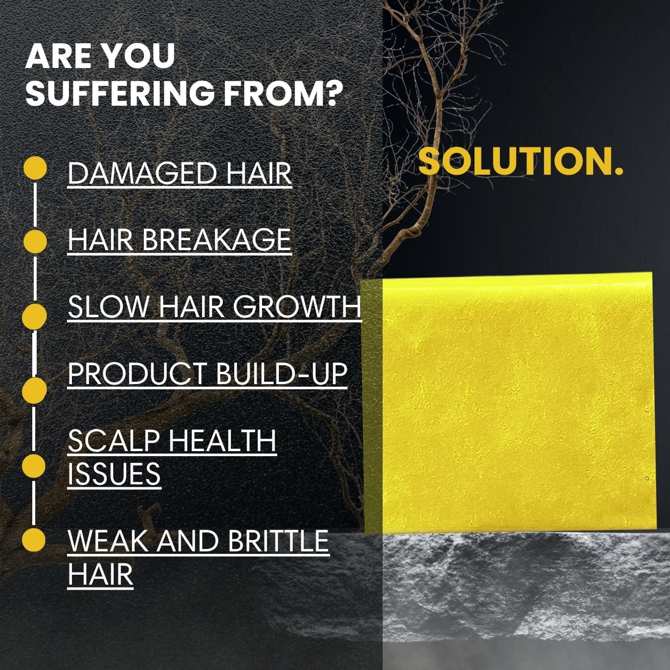 🔥PRE ORDER🔥 Lemon Dream Shampoo Bar Wave Natural Products 2-6 King Wavy Merch 